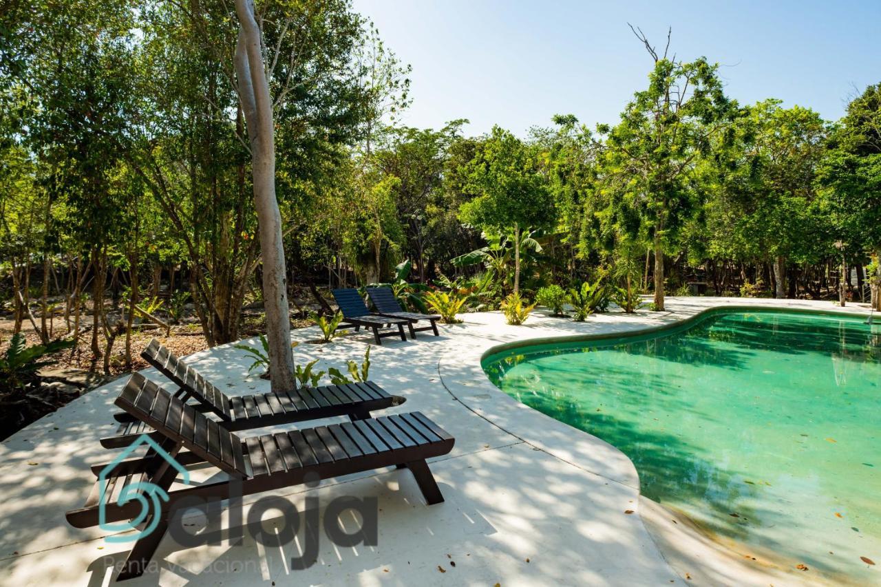 Villa Green Paradise Your Perfect Escape Puerto Morelos Buitenkant foto